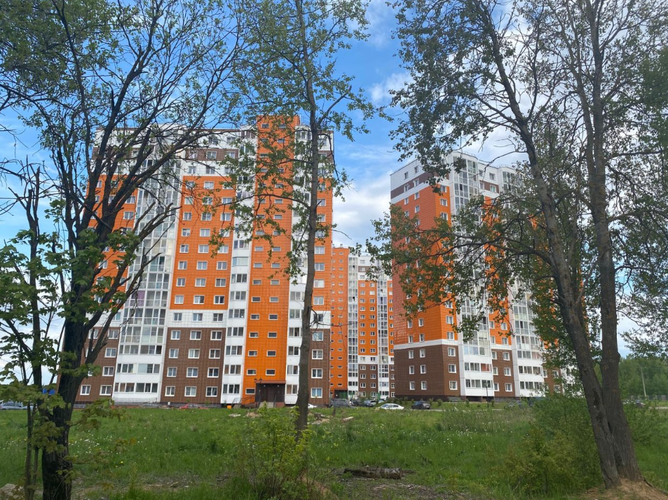Лесная мелодия 2